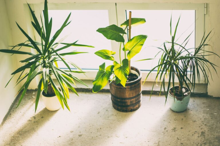 Quels sont les must-have de la décoration d&rsquo;intérieur ?