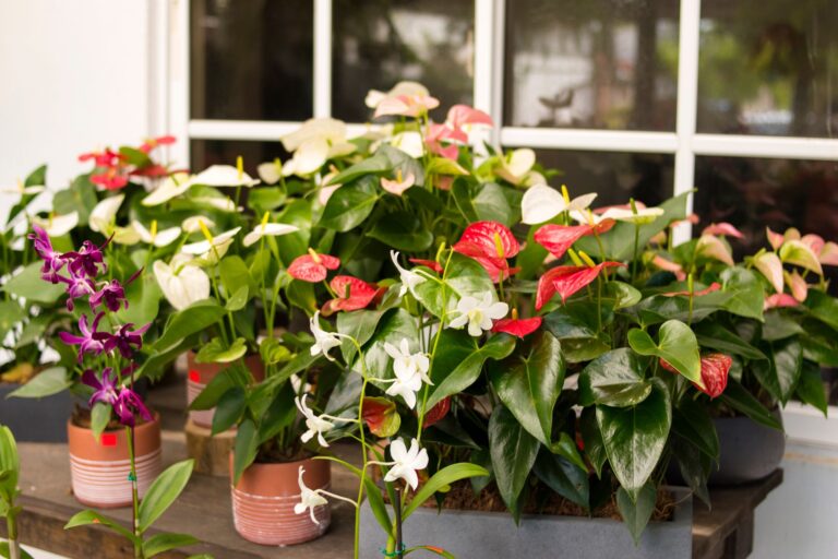 Comment s&rsquo;inspirer de la nature pour une décoration réussie ?