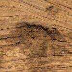 Matières vivantes : personnaliser son intérieur avec les variations naturelles